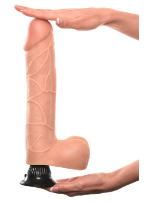 No. 11